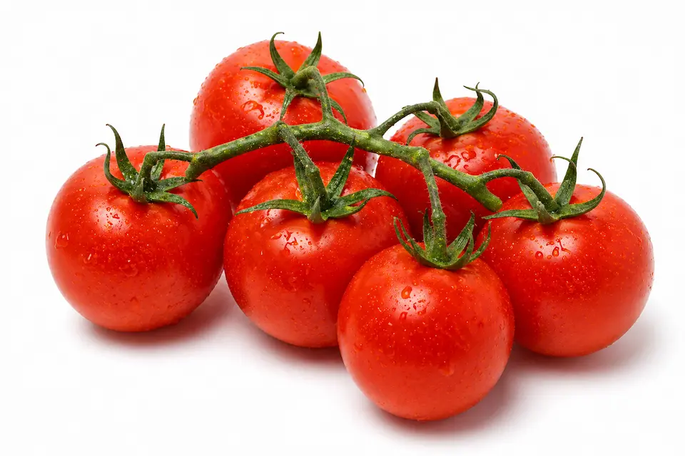 Tomate Rama Proveedor